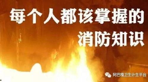 国产逃生自救方法视频播放,关键时刻的救命指南