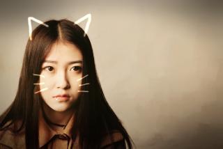 国产ts视频合集,精彩纷呈，一网打尽国产影视佳作