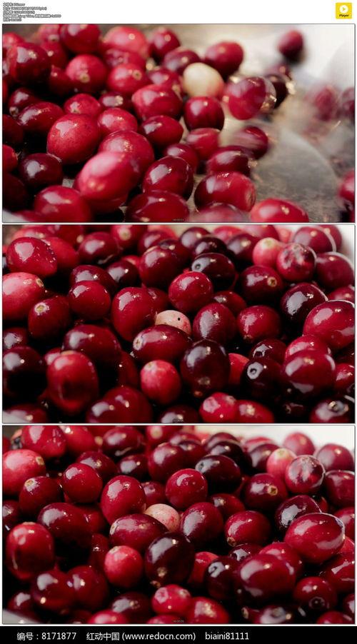 国产大樱桃试吃视频