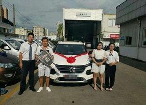 国产汽车上牌视频,视频带你轻松上手