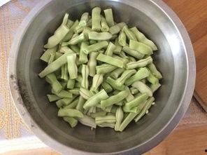 国产芸豆小视频