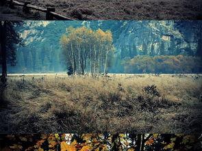 国产电影唯美风景视频下载,国产电影中的唯美风景大盘点