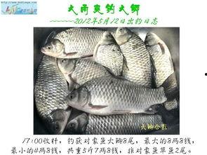 国产大鲫鱼视频